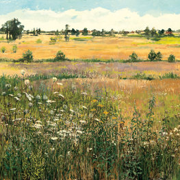 Tesia na łące w Krężlu z widokiem na Markotówz cyklu All my Loving