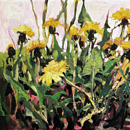 Mniszek lekarski z cyklu Zielnik