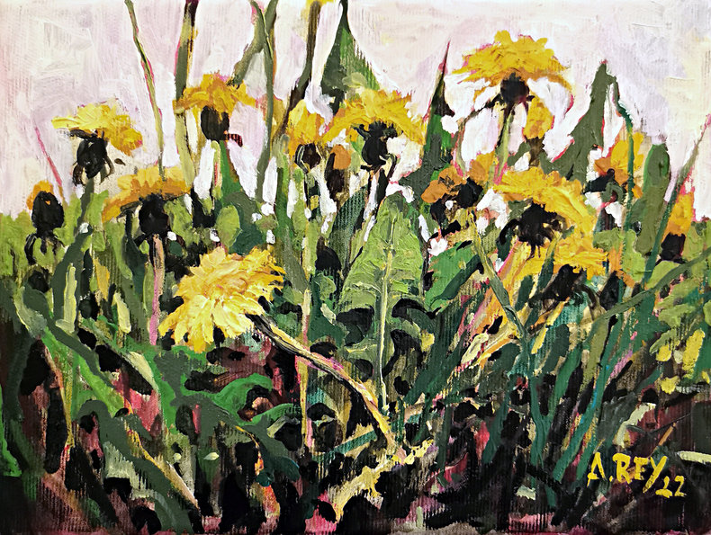 Mniszek lekarski z cyklu Zielnik