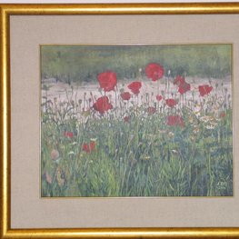 Maki w Lelystadt z cyklu Przez kwiatki