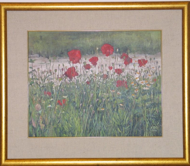 Maki w Lelystadt z cyklu Przez kwiatki