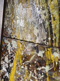 Z cyklu Ptasie inspiracje - odpoczynek