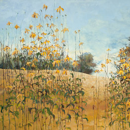 Rudbekie w Przybyszowie z cyklu Organika