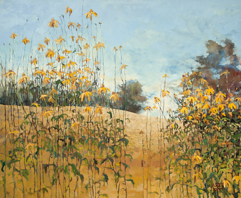 Rudbekie w Przybyszowie z cyklu Organika