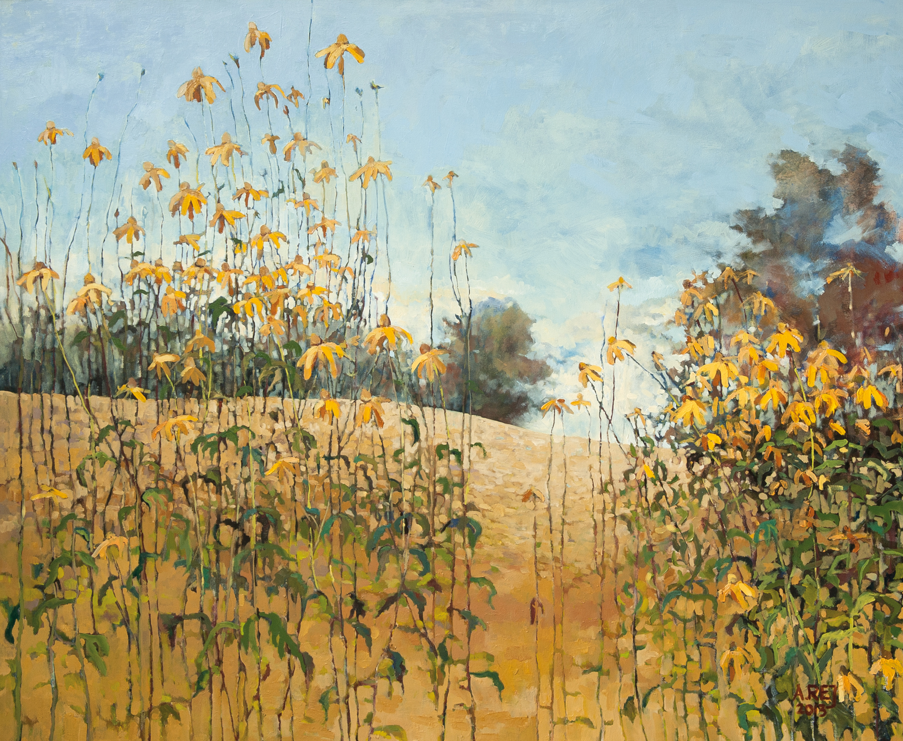 Rudbekie w Przybyszowie z cyklu Organika