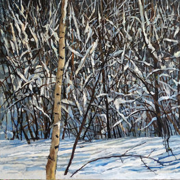 Zima z cyklu Organika