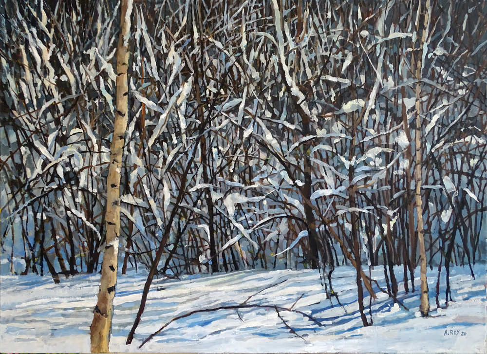 Zima z cyklu Organika