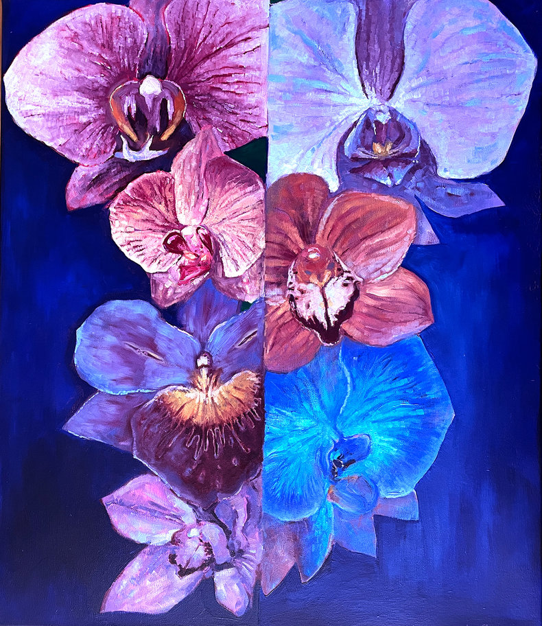 Orchidea w różu