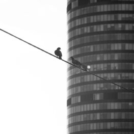 Obserwacje architektury