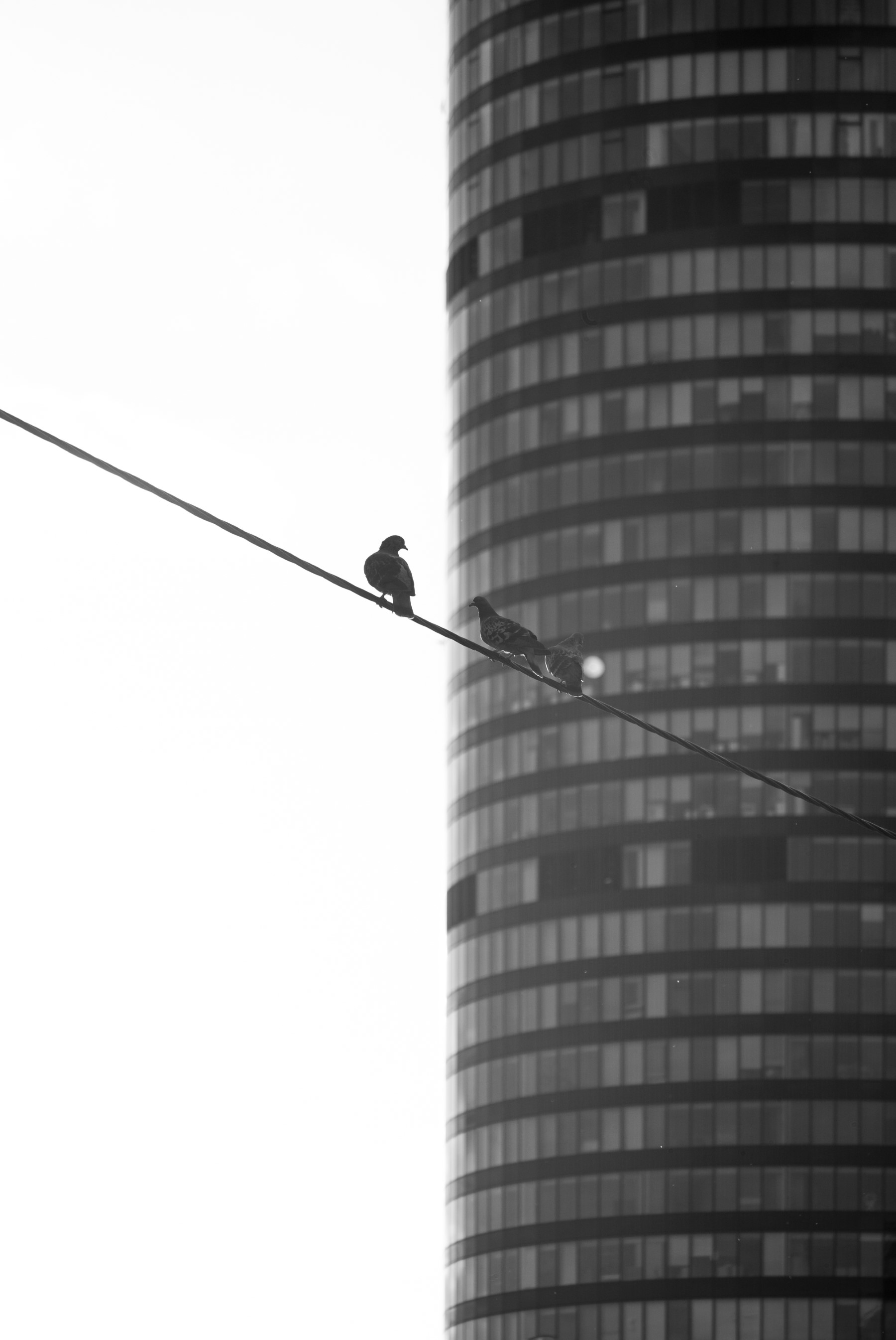 Obserwacje architektury