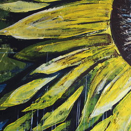 Sunflower (Freedom)
