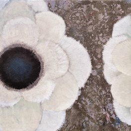 Kwiaty - dwa światy 