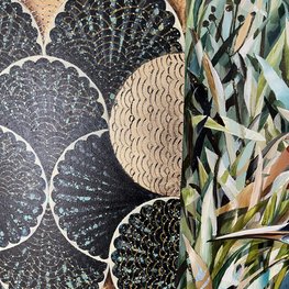 Biała czapla, czarna czapla