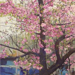 Kwitnace drzewko na Rynku w Chorzowie