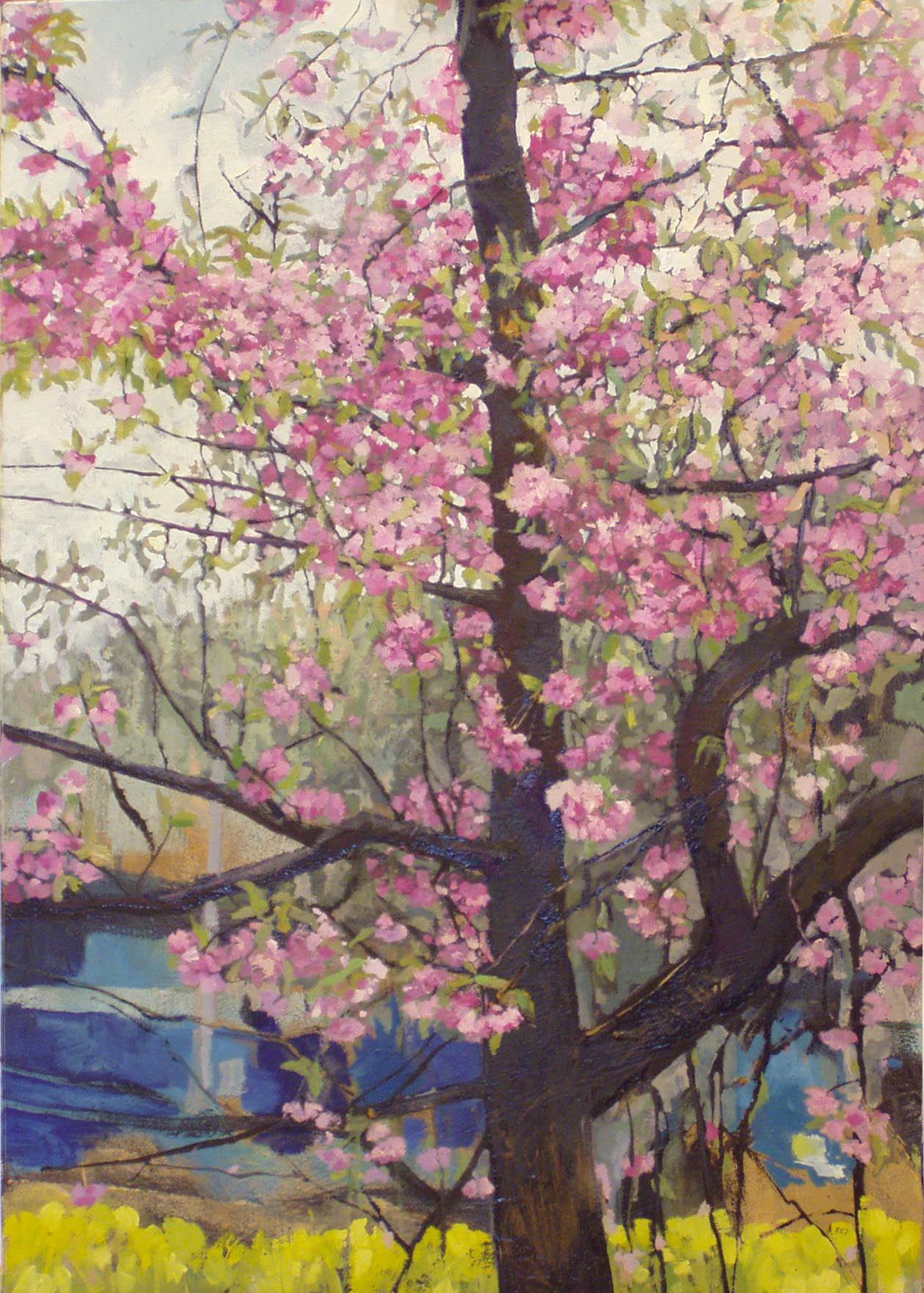 Kwitnace drzewko na Rynku w Chorzowie