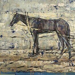 Ostatnia szkapa na starym mieście 