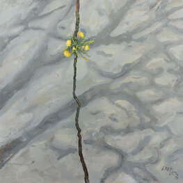 Droga w Siennej 3 z cyklu Będzie las