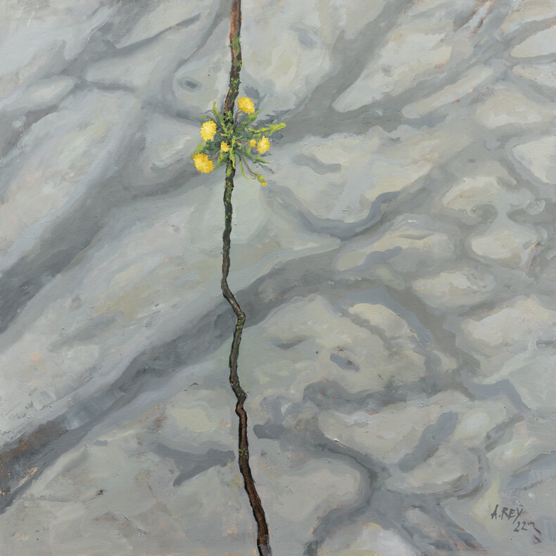 Droga w Siennej 3 z cyklu Będzie las