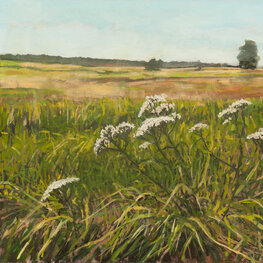 Krwawnik w Krężlu z cyklu Przez kwiatki