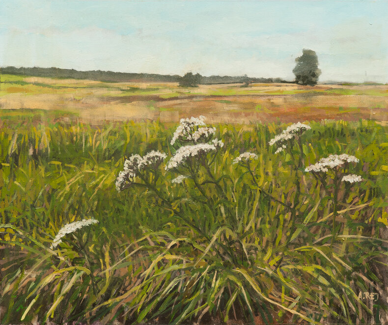 Krwawnik w Krężlu z cyklu Przez kwiatki