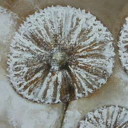 Podręczny zestaw podróżny