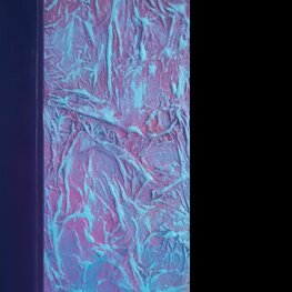 Kocia rodzina obserwuje świat