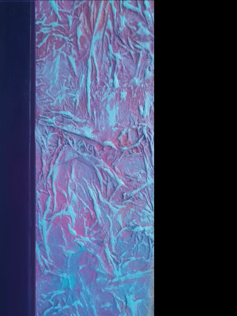 Kocia rodzina obserwuje świat