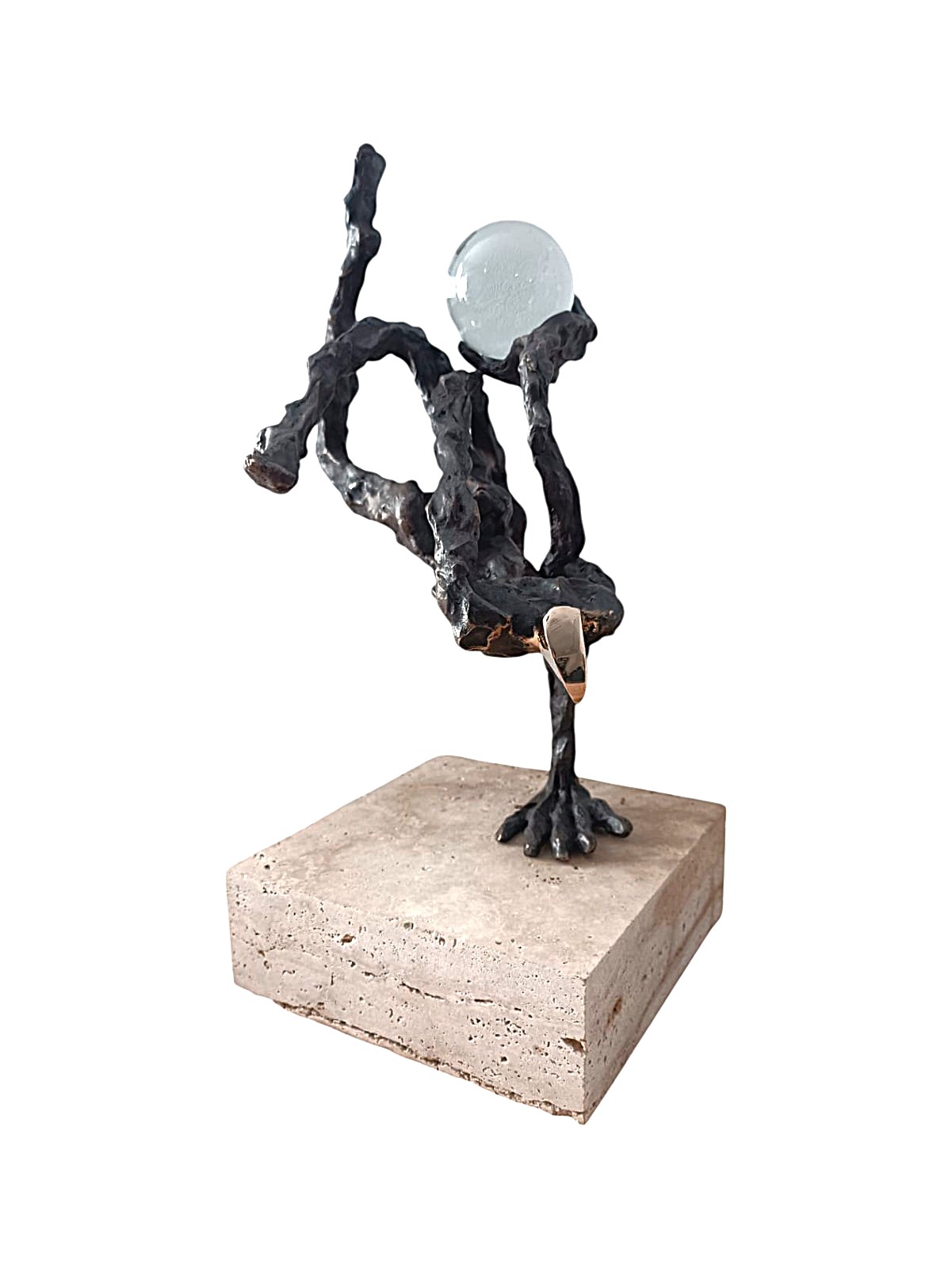 Corporis Flexibilitas Perfecta