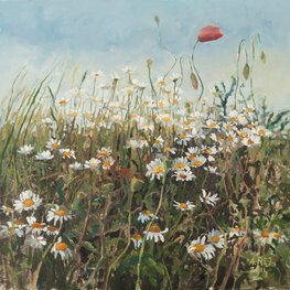 Margaretki z Lelystadt z cyklu Przez kwiatki