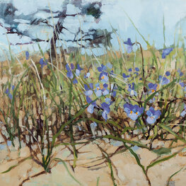 Dzikie bratki na wydmie z cyklu Przez kwiatki