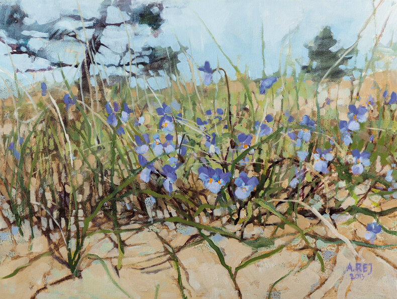 Dzikie bratki na wydmie z cyklu Przez kwiatki