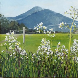 Wiosna w Alpach z cyklu Przez kwiatki