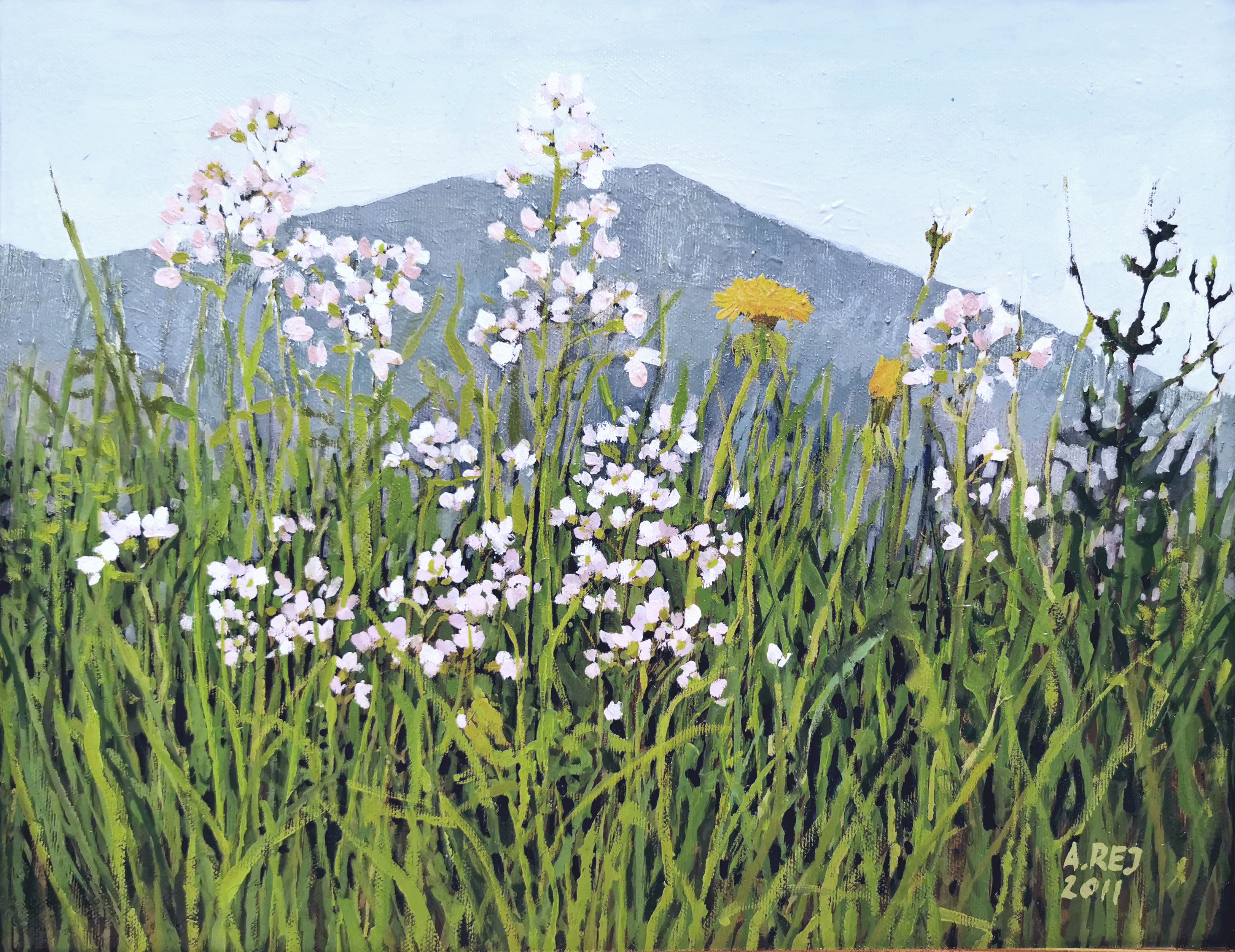 Wiosna w Alpach 2 z cyklu Przez kwiatki