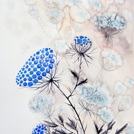 Polska łąka lipcowa