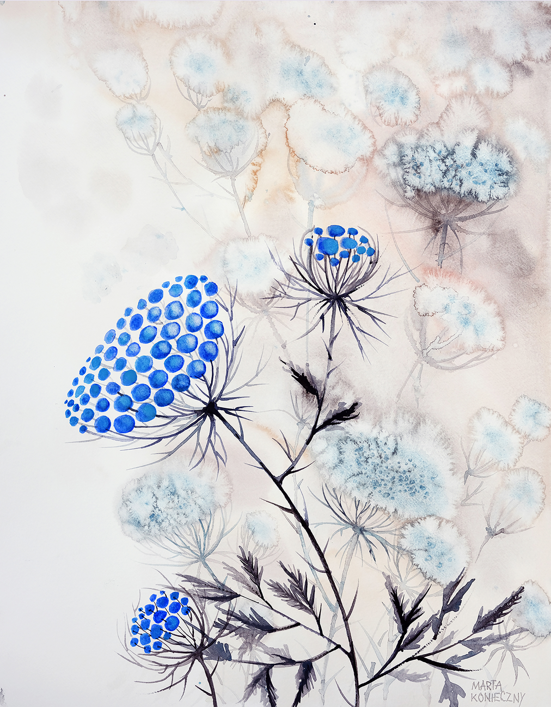 Polska łąka lipcowa