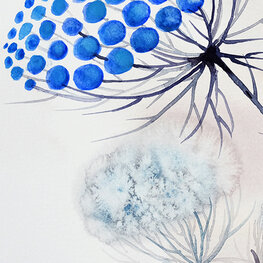 Polska łąka lipcowa