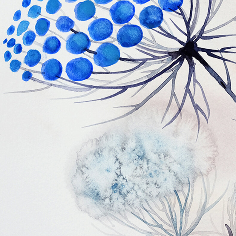 Polska łąka lipcowa