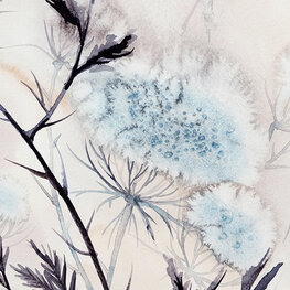 Polska łąka lipcowa