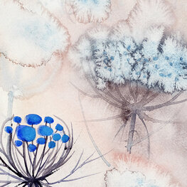 Polska łąka lipcowa