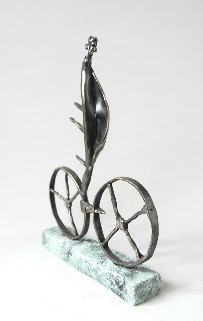 Przez łąki, pola, lasy